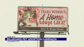 Local animal shelter holds billboard pet adoption campaign for long-time residents