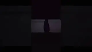 PONTIS &egrave; online su YouTube