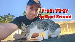 From Stray to Best Friend: My Heartwarming Journey with 