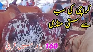 Orangi Town 4 Number Mandi Latest Rates Update 2025 @travelandfood1386