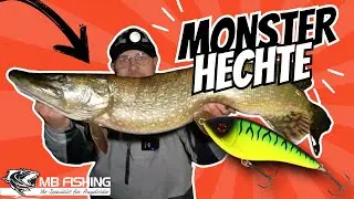 Hechtalarm bei Nacht! Diese K&ouml;der fangen die ganz Gro&szlig;en!