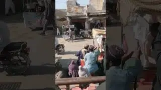 ##jampur city /#ytstudio/#viral/jampur ka manzar🤓🤓🤓