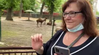Киевский Зоопарк 2021 - Слон, Жирафы, Тигры, Львы - Kyiv Zoo