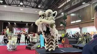 OE多大杯 （亚军1st Runner-up）- 多媒体大学（赛城）华文学会文化股舞狮班 *9.10* OE MMU Cup Lion Dance Championship 2025