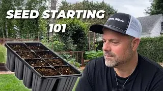 Подробный обзор выращивания рассады 🌱 От момента начала посева до закаливания (что на самом деле ...