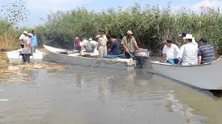 اخر النهار - لجنة تطوير بحيرة المنزلة توصي بإلغاء تعاقد 1300 مزرعة سمكية في منطقة دمياط