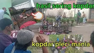 KOPDAR BURUNG PLECI !! PLECI MANIA INDONESIA