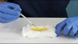 Fidalab's UriPad and Aptima Urine Collection Kit Training Video