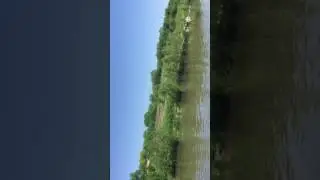 PERSONAL BEST CARP CATCH