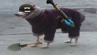 tf2 home videos