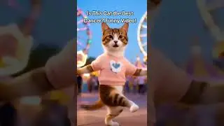 Is This Cat the Best Dancer? Funny Video! #shortsfeed #funny #funnyshorts