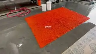 ☀️🟠🍊DEEP CLEAN on a NEON ORANGE synthetic shag rug! 🍊🟠☀️