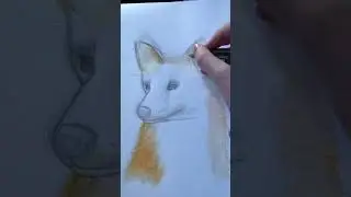 I haven&rsquo;t posted so much drawing content lately🙃 #drawing #fox #foxdrawing #markers #alcoholmarker