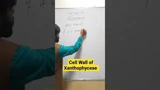Cell Wall of Xanthophyceae...?