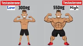 How to boost testosterone naturally।testosterone hormone fast बढ़ाने का तरीक़ा ।Kush fitness