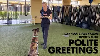 Lucky Dog x Peggy Adams Training Series: Polite Greetings