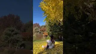 The way I celebrated four seasons #entertainment #enjoylife #destination