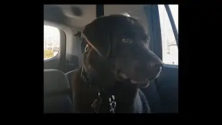 To the park!