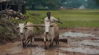 Young Dreams New India