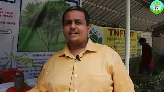 சொர்க்கம் மரம் பயன்கள் | Benefits of Lakshmi taru Paradise tree Simarouba glauca | TNFHDF