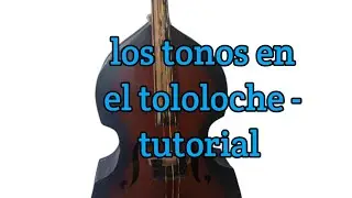 Los tonos en el tololoche
