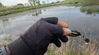 Does the Spro Bladed frog really work???