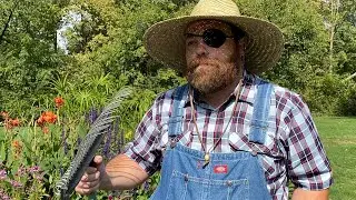 In the Weeds - 48 Hour Film Project Des Moines 2020 - Official Trailer