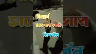 নিঃস্বার্থ ভালোবাসার নিদর্শন 🤗🥰❤️#shorts #youtubeshorts #vlogifysubrata #dog #dogs