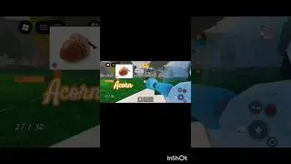 how to get acorn