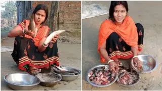 আজ সকালবেলা এতগুলো মাছ কোথায় থাকে নানা হলো 