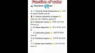 Function of water in The Body 💦 Easy way #water #humananatomy #shorts