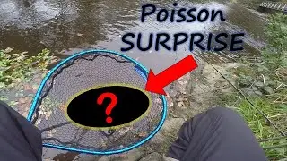 Je p&ecirc;che un poisson SURPRISE !