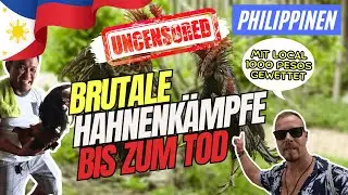 Bis zum Tod: Brutale Hahnenk&auml;mpfe auf den Philippinen: Der Realit&auml;t ins Auge sehen
