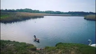 portrack Marsh