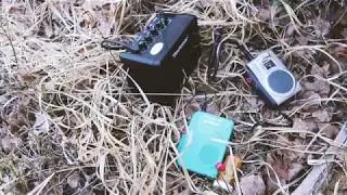 Dry water plants and dying tape loops (noise in the forest)