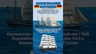 Самые большие парусники #benderhistory #израиль #україна #грузия #shorts