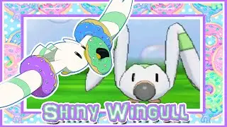 LIVE!! Shiny Wingull on Alpha Sapphire after 3356 SEs!!
