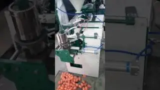 Auto Blow plastic moulding machine's