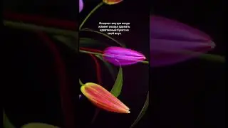 Когда клиент сказал делайте на свой вкус #flowers #warszawa #цветы #mirastarflowers #доставкацветов