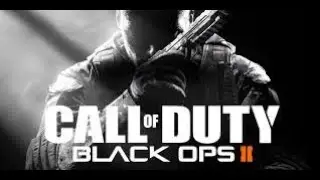 funny high FOV black ops 2 (plutonium)