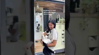 The best adventure buddy #soulmated #vancat #cat #vanconversion #vanlife #vanbuild #tinyhome #camper