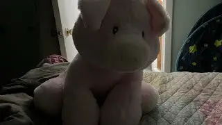 ASMR Crinkle Sounds No Talking 
