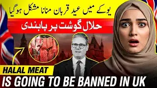 How Halal Meat Is GoingTo Be Banned In UK As Petition Non-Stunned Slaughter In Parliament  #uk#news