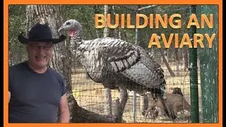 BUILDING THE TURKEY AVIARY recap