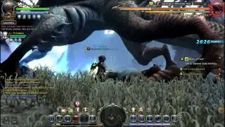 Dragon Nest Sea Dragon Fellowship Lv60