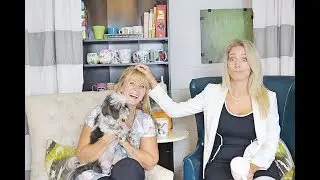 REALTOR VS FSBO - EXPERIENCE