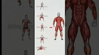 Home Workout for Beginners (Full Body) 🏠 #shoulder #hiittimer #15minuteworkout #sports