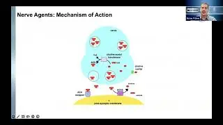 Medical Management of Chemical Exposure