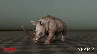 Seneca Animation Demo 2024