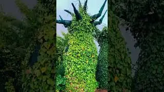 Hamilton's new dream-like garden a 'different world' #shorts